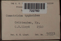 Image Associated With the Occurence